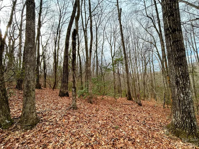 $43,700 | Lot 11 Rhododendron Drive, Saluda, NC 28773