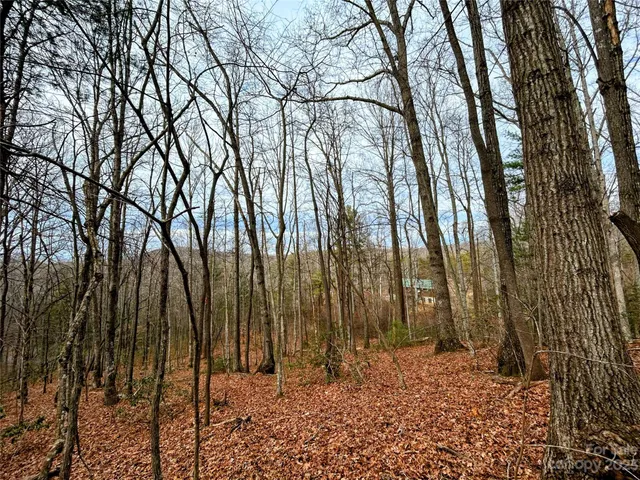 $43,700 | Lot 11 Rhododendron Drive, Saluda, NC 28773