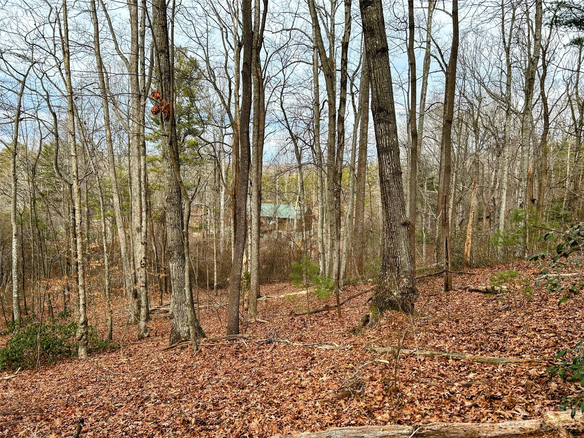Lot 11 Rhododendron Drive Saluda, NC 28773 - Photo 7 of 12