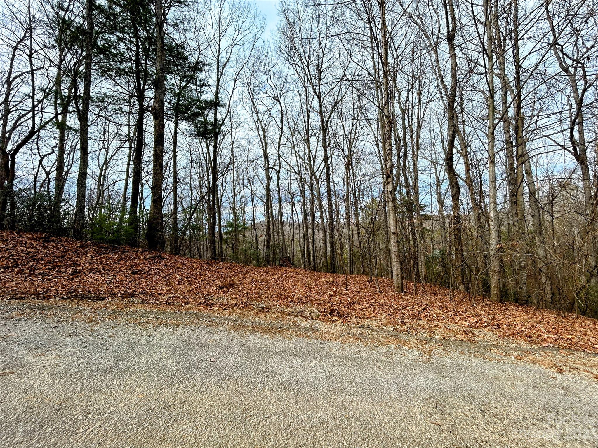 Lot 11 Rhododendron Drive Saluda, NC 28773 - Photo 8 of 12