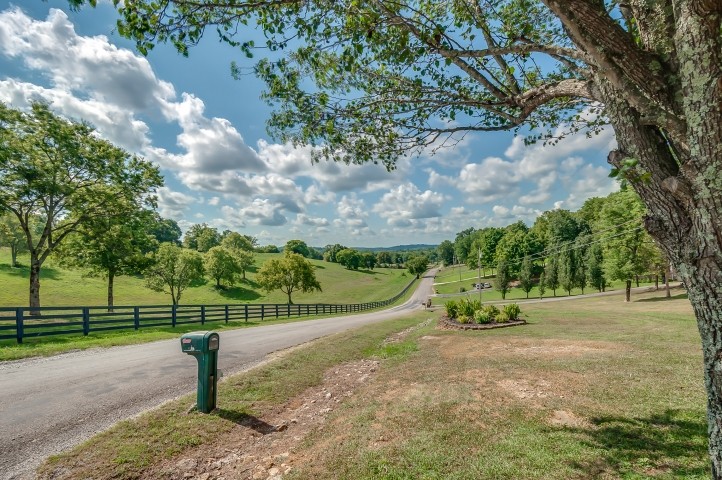 1169 Rip Steele Road Columbia, TN 38401 - Photo 2 of 42 a view of a park