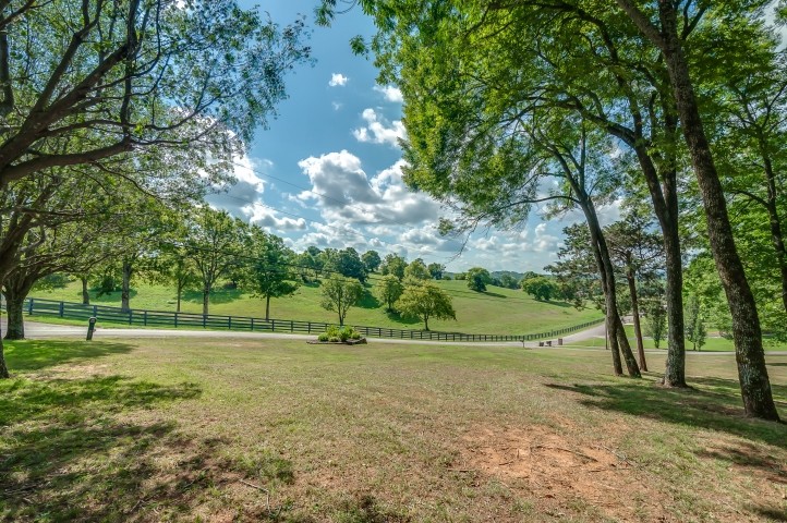 1169 Rip Steele Road Columbia, TN 38401 - Photo 4 of 42 a view of outdoor space with garden and trees