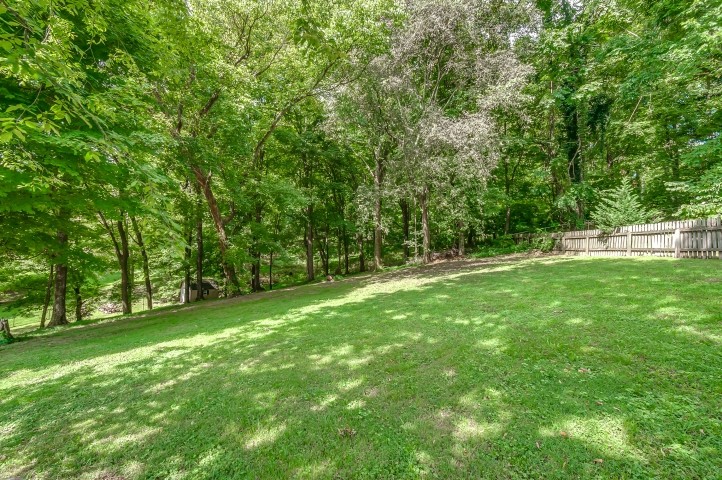 1169 Rip Steele Road Columbia, TN 38401 - Photo 40 of 42 a view of green field with trees in the background