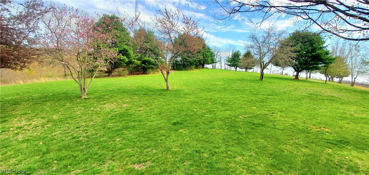 74201 Irish Ridge Road Kimbolton, OH 43749 - Photo 10 of 35
