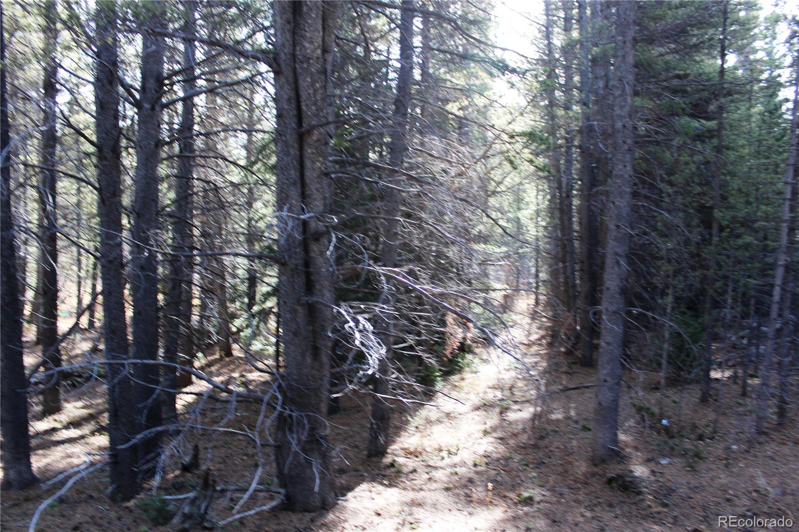 103 Deer Road Idaho Springs, CO 80452 - Photo 4 of 15 Gallery Image 4