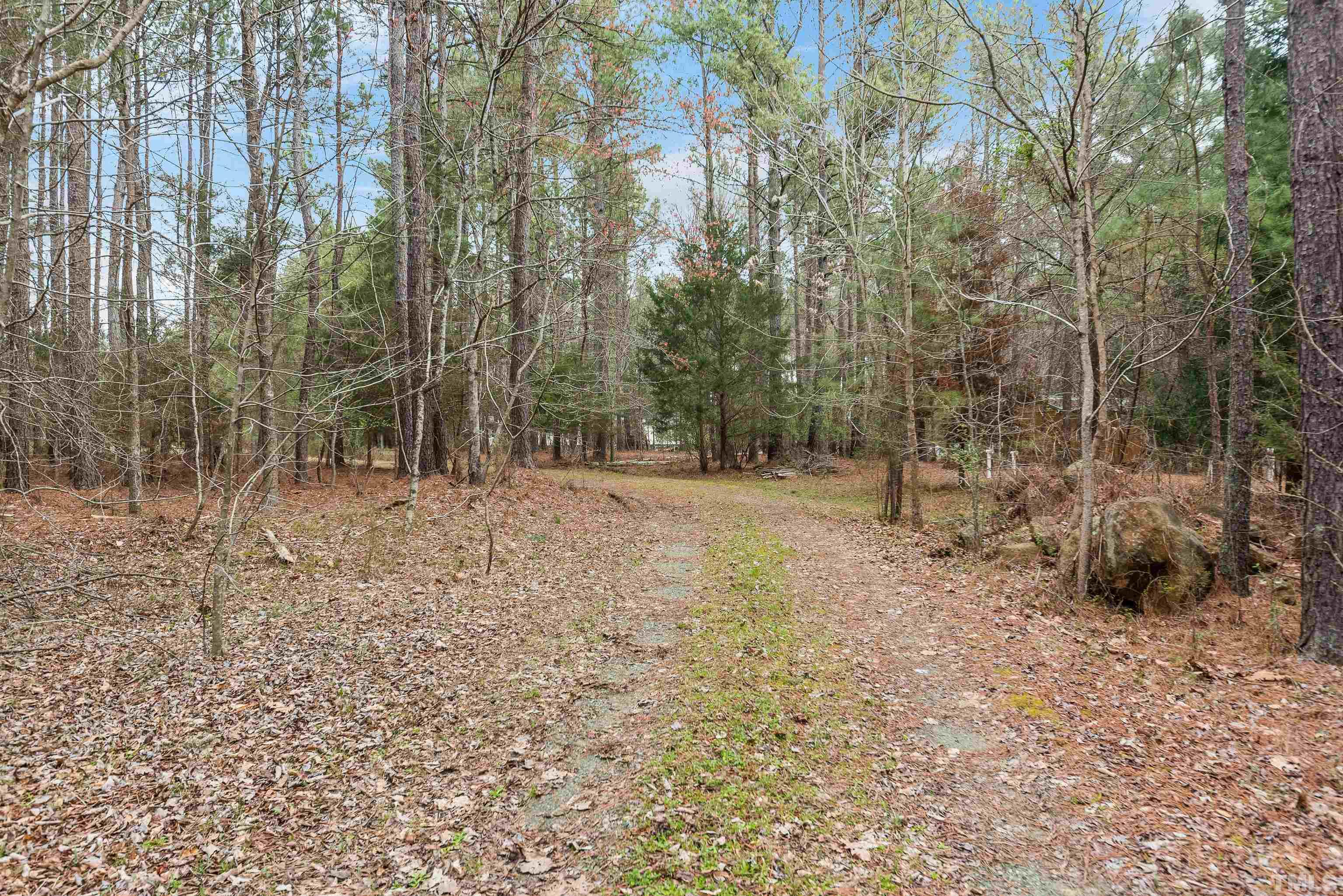 1724 Lutterloh Road Pittsboro, NC 27312 - Photo 5 of 38 Gallery Image 5