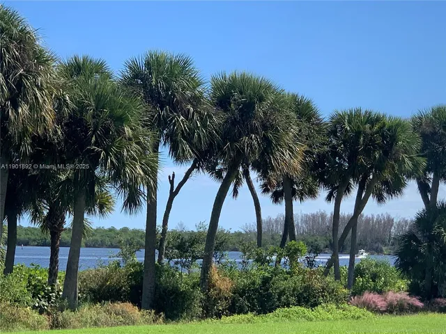 a view of outdoor space and palm trees