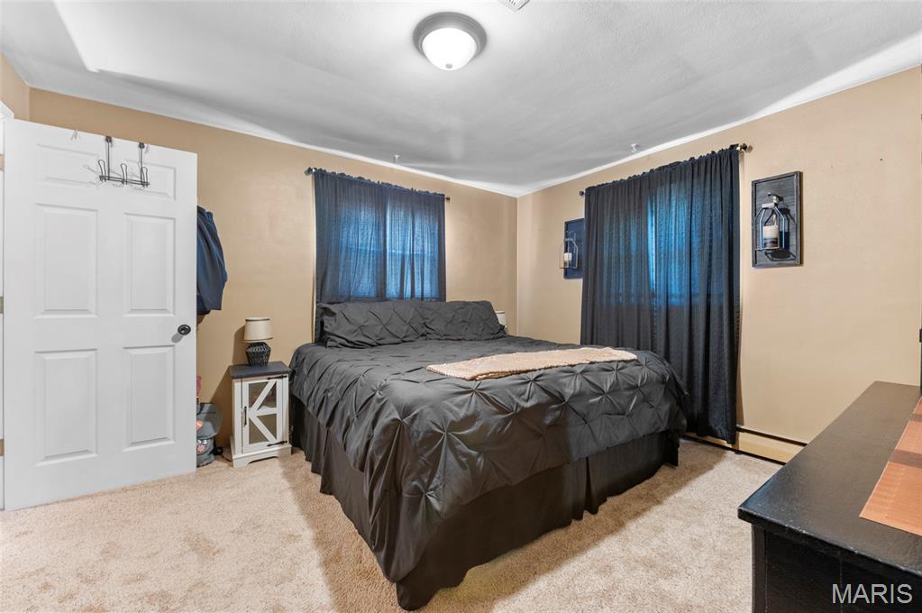 723 Bunker Hill Road Staunton, IL 62088 - Photo 5 of 30