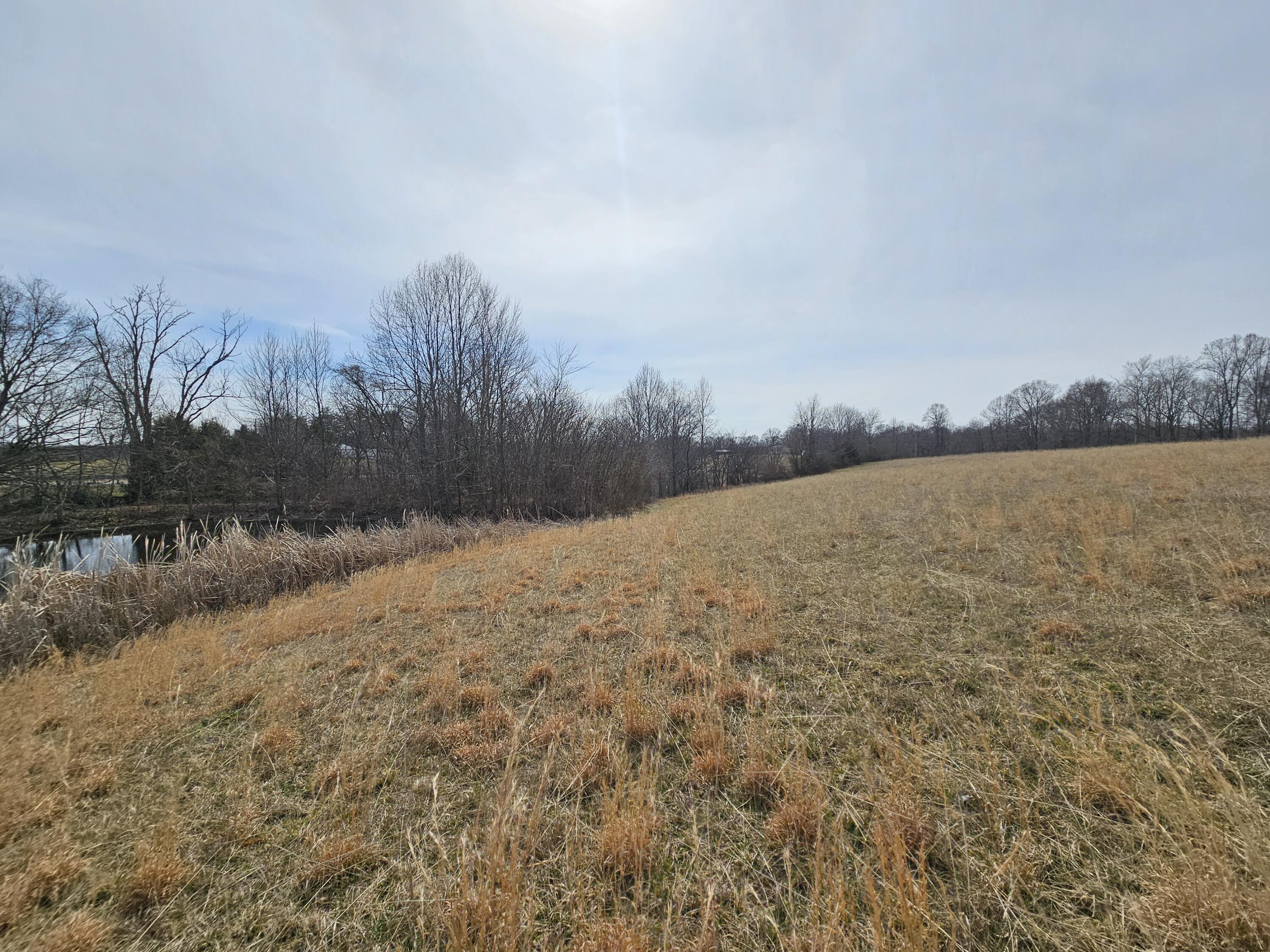0 Walnut Hill Road Liberty, KY 42539 - Photo 6 of 12 20260301_130729