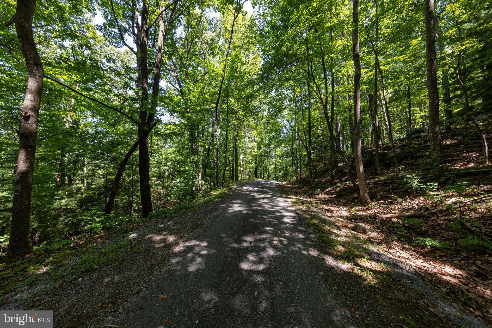 0 Helms Road Stanley, VA 22851 - Photo 28 of 50