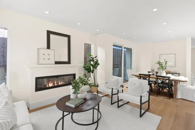 a living room with furniture potted plant and a fireplace