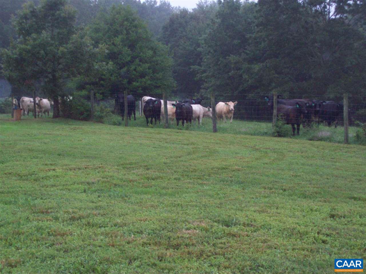 5063 Coleman Road Rhoadesville, VA 22542 - Photo 22 of 26 Gallery Image 22