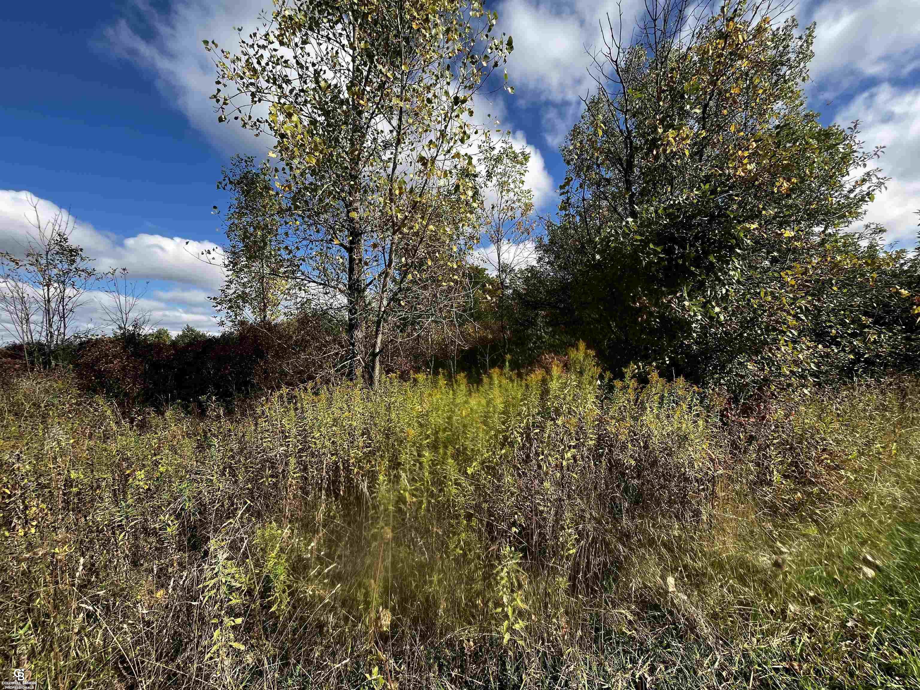 12274 Griffin Road Memphis, MI 48041 - Photo 3 of 7 Gallery Image 3