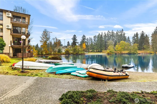 a lake view with tall trees