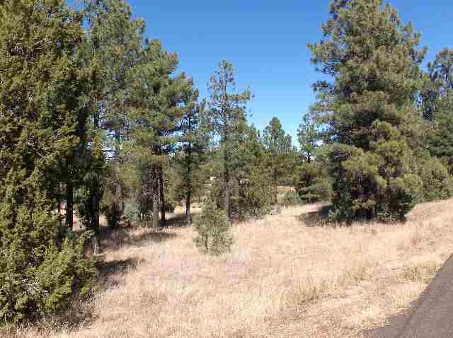 Lot 200 Corner Ransack & Moccasin Overgaard Az 85933 Overgaard, AZ 85933 - Photo 3 of 5