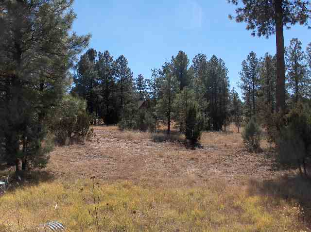 Lot 200 Corner Ransack & Moccasin Overgaard Az 85933 Overgaard, AZ 85933 - Photo 5 of 5