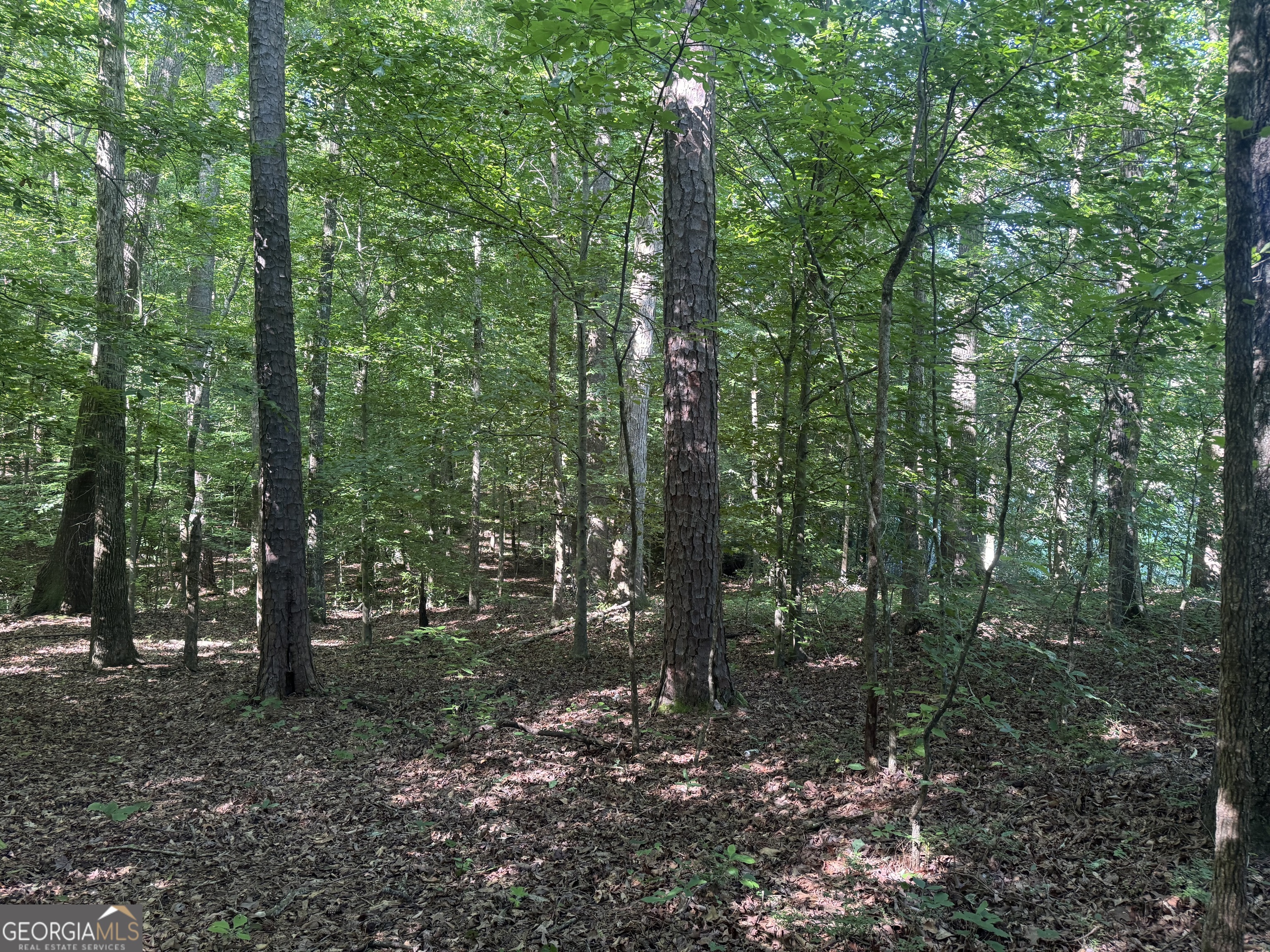 435 North 27th Highway Roopville, GA 30170 - Photo 1 of 5