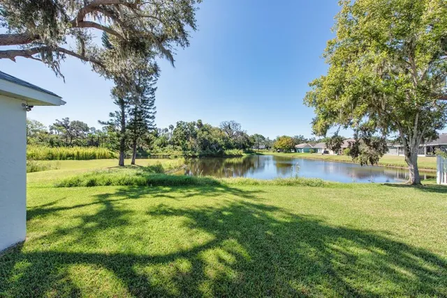 a view of a garden with trees