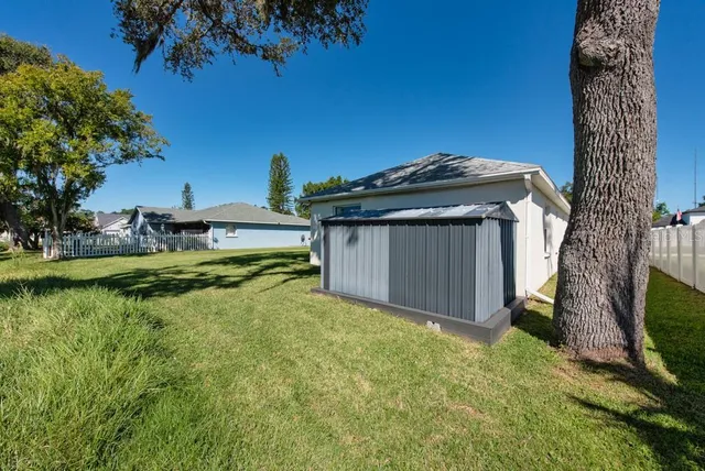 a view of a backyard with potted plants and large tree