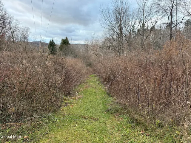 $34,500 | 0 State Route, Unit 28, Inlet, NY 13360