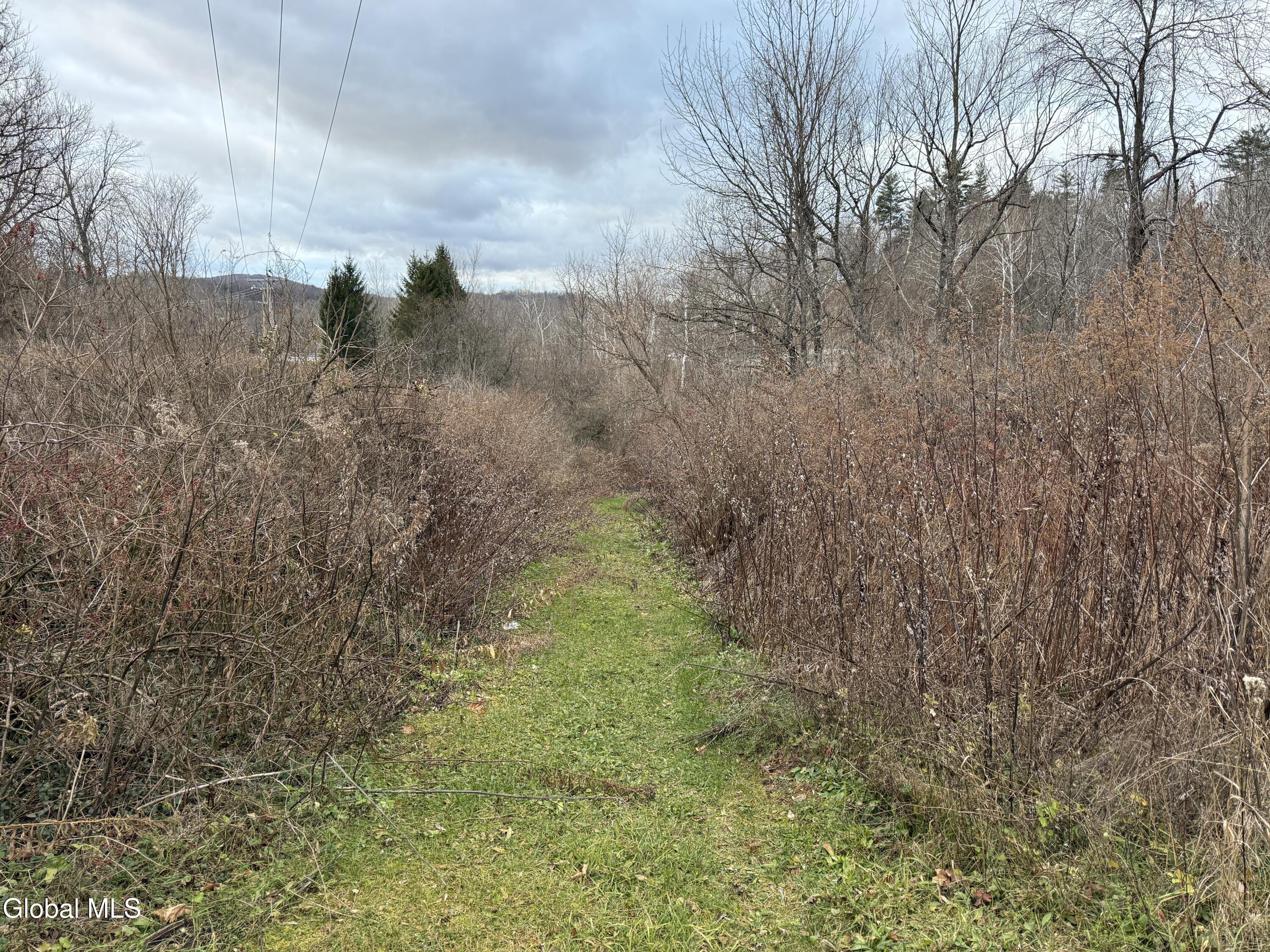 0 State Route, Unit 28 Inlet, NY 13360 - Photo 6 of 10 IMG_5350