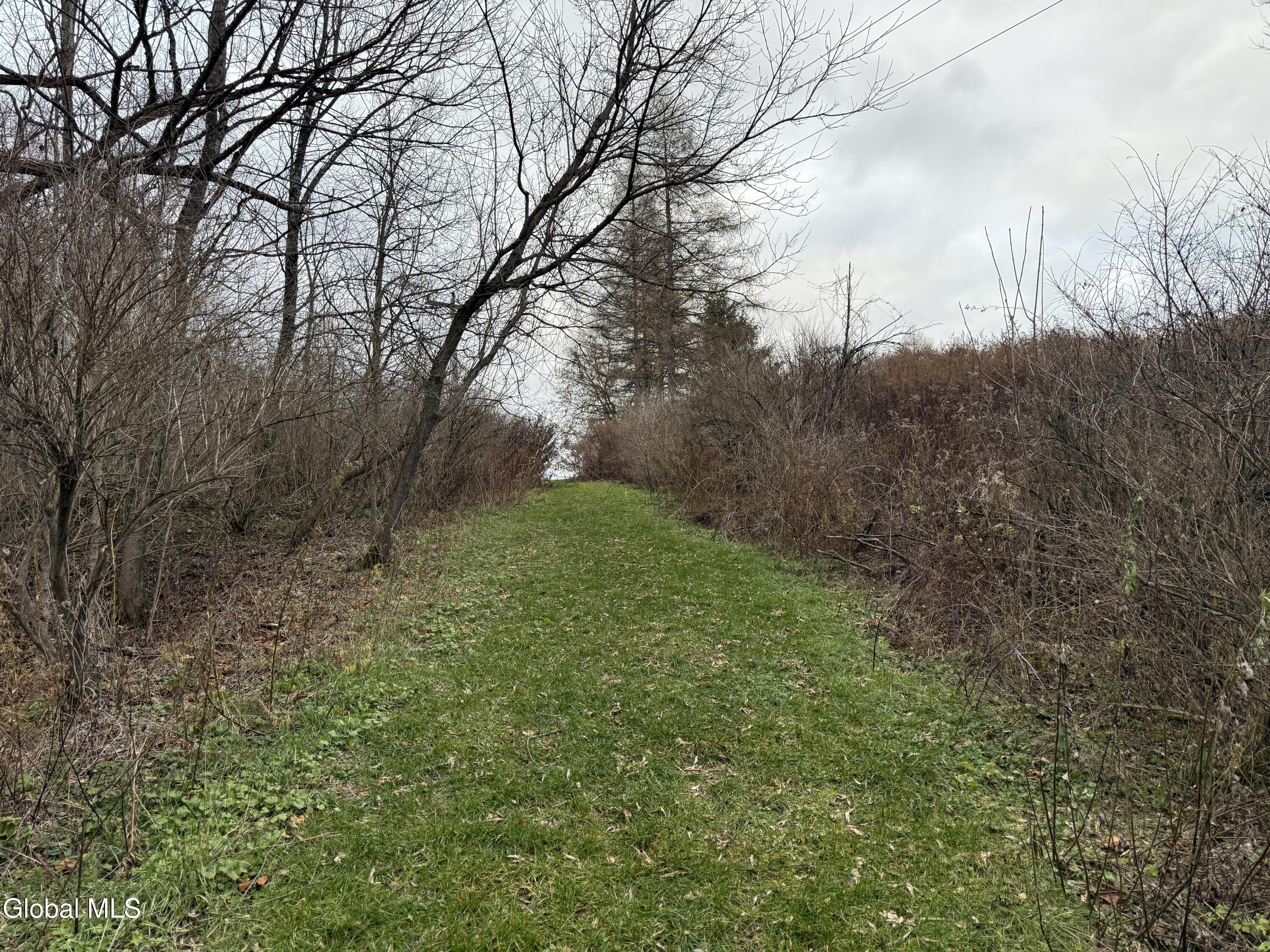 0 State Route, Unit 28 Inlet, NY 13360 - Photo 7 of 10 IMG_5351