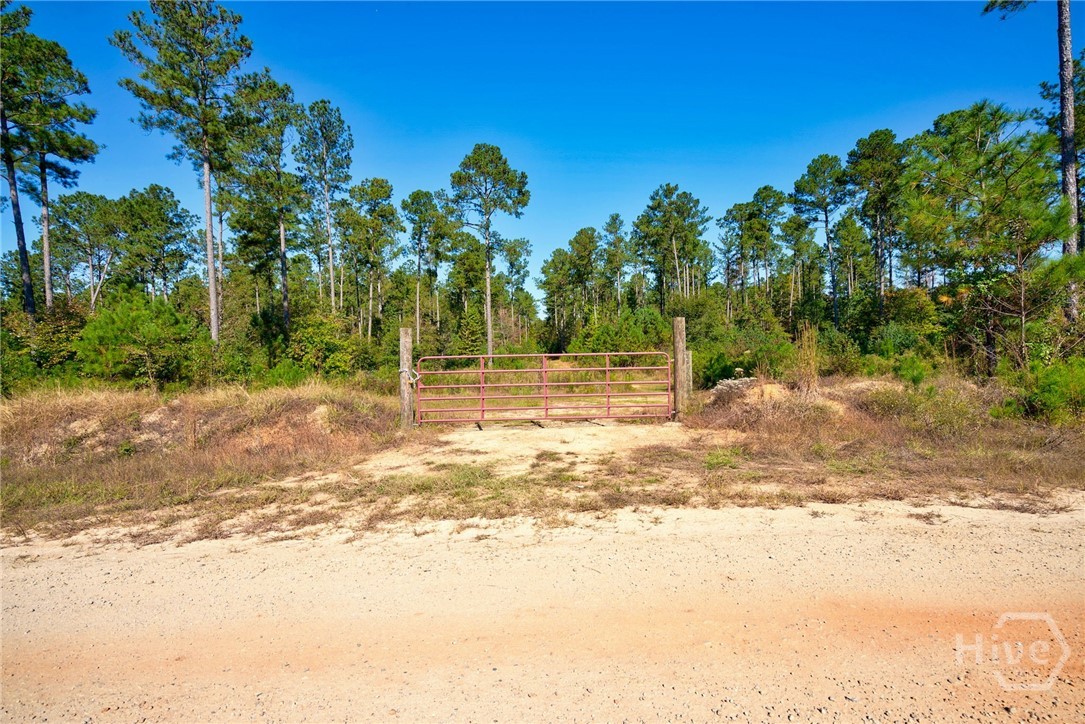 1 Bridges Road Carlton, GA 30627 - Photo 4 of 33