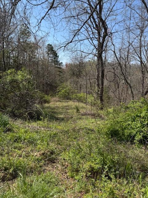 9999 Ember Road Livingston, KY 40445 - Photo 2 of 13 IMG_2849