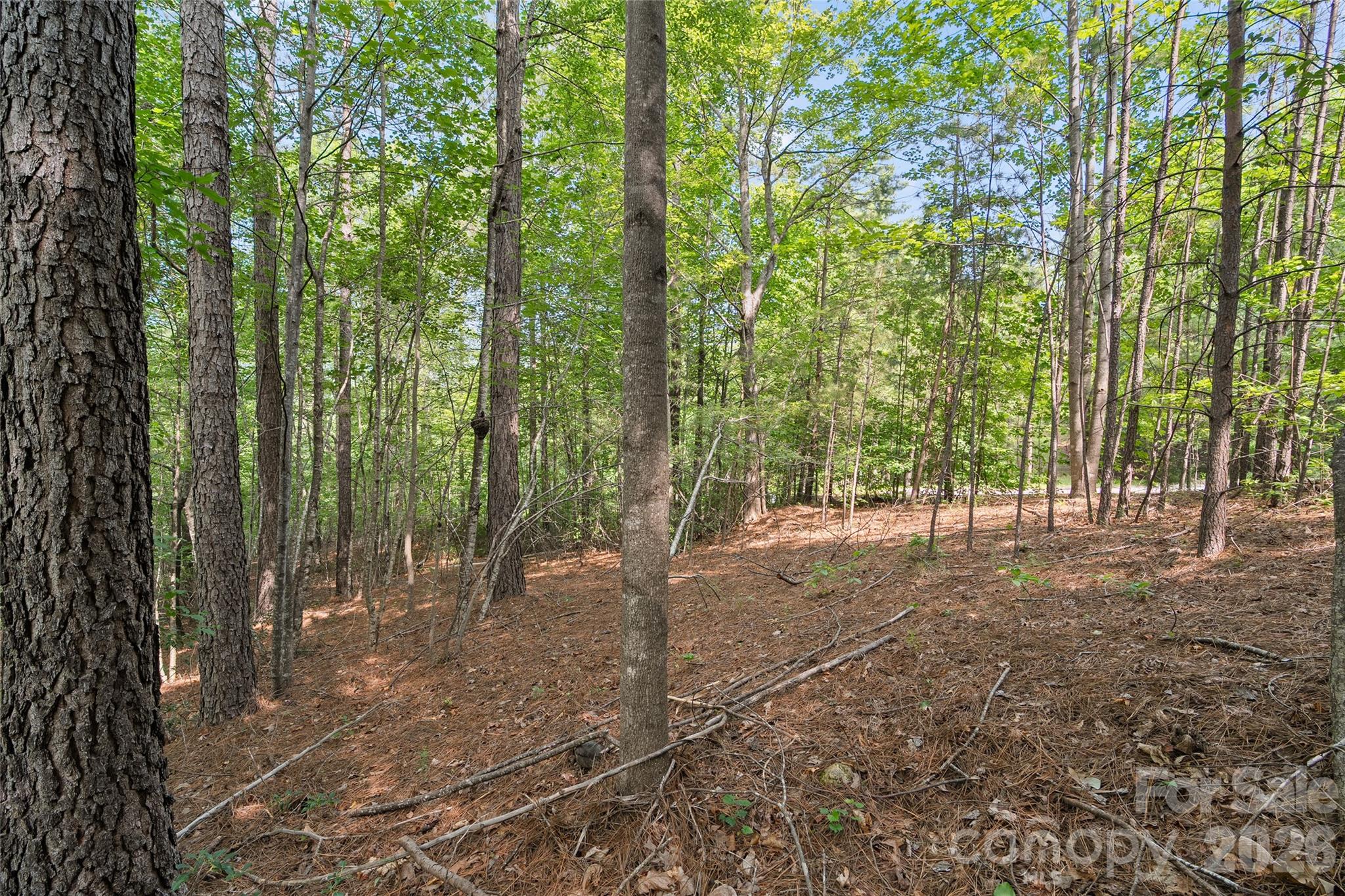 Lot 24 Monteith Pl Mill Spring Mill Spring, NC 28756 - Photo 6 of 24