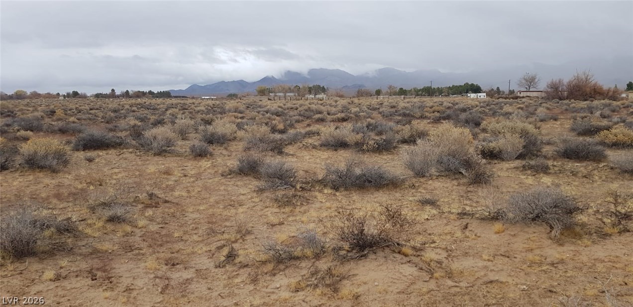 West Pearl Avenue Sandy Valley, NV 89019 - Photo 11 of 14