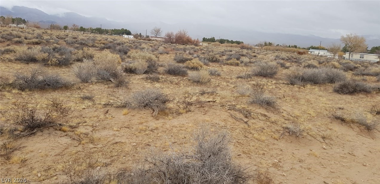 West Pearl Avenue Sandy Valley, NV 89019 - Photo 12 of 14