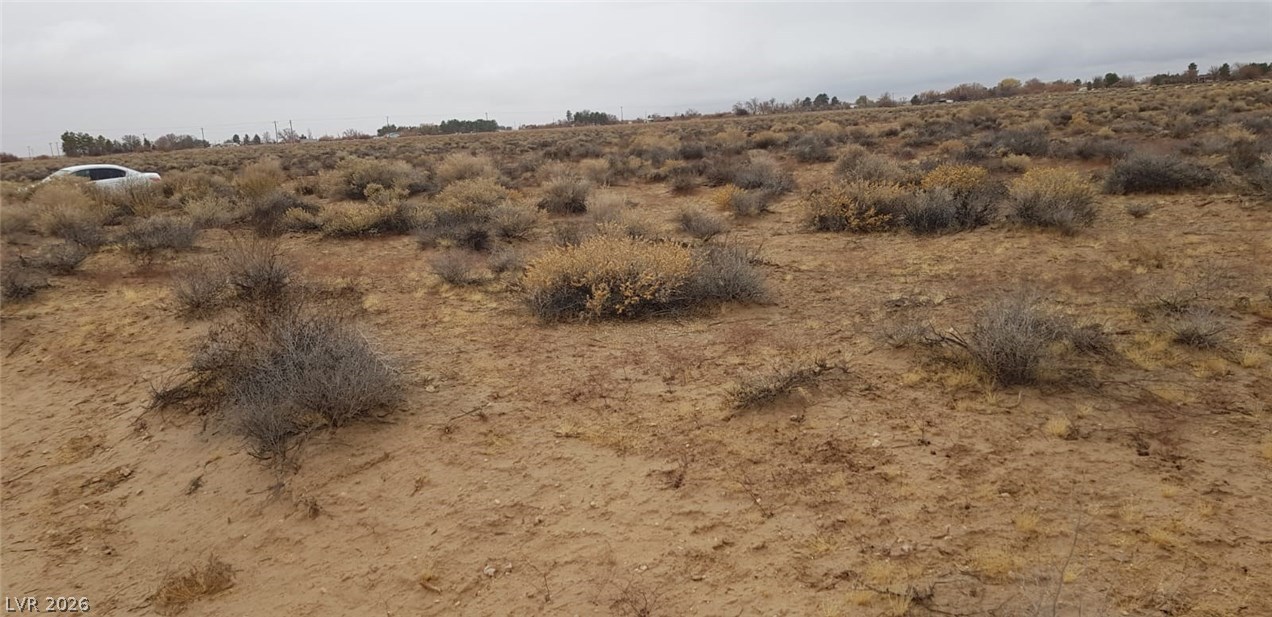 West Pearl Avenue Sandy Valley, NV 89019 - Photo 13 of 14