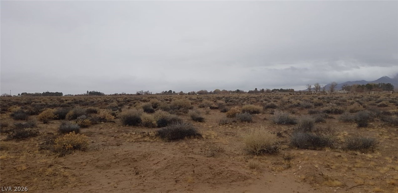 West Pearl Avenue Sandy Valley, NV 89019 - Photo 8 of 14