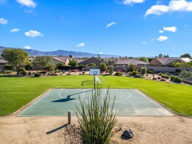 a view of a park with large trees