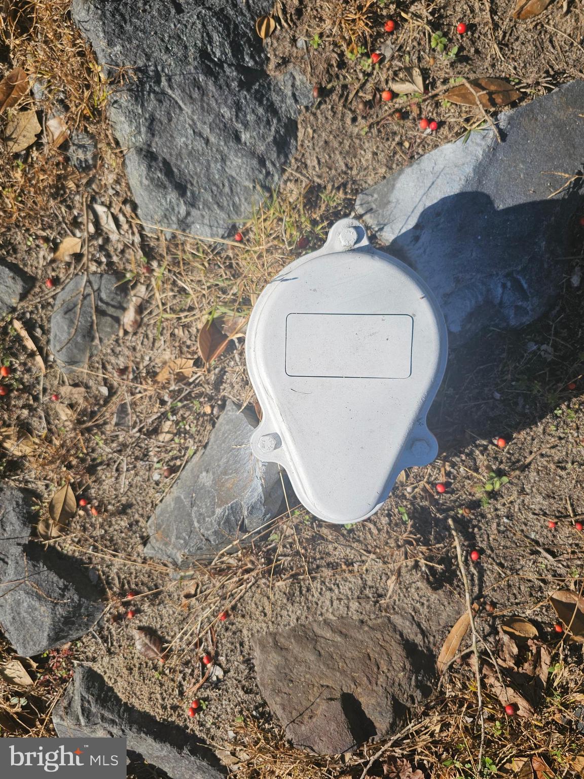 703 Camelia Road Salisbury, MD 21804 - Photo 45 of 45 4" Well