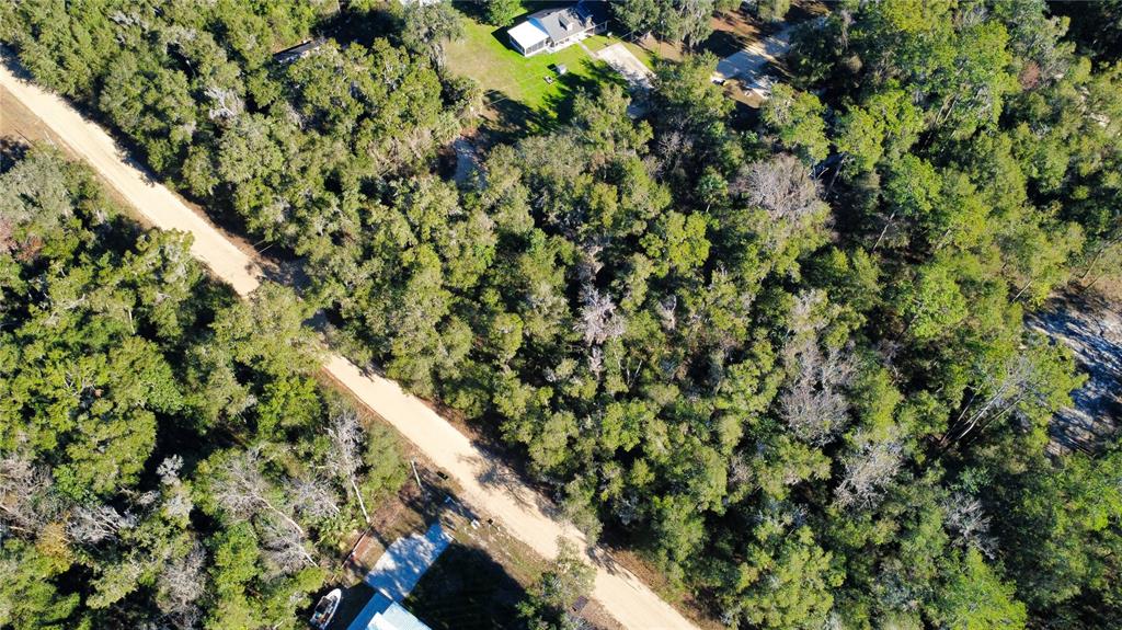 110 Leeward Road Satsuma, FL 32189 - Photo 11 of 18 a view of a forest with a tree