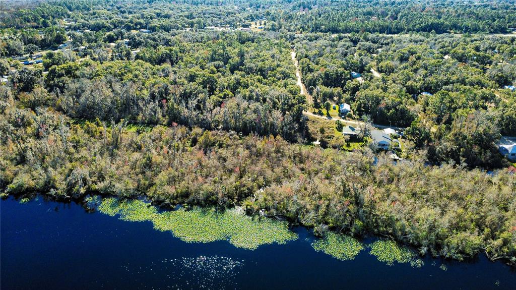 110 Leeward Road Satsuma, FL 32189 - Photo 14 of 18 a view of a lake with a yard