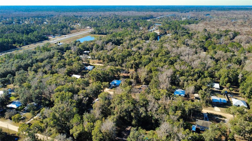 110 Leeward Road Satsuma, FL 32189 - Photo 9 of 18 an aerial view of forest