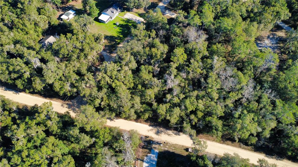 110 Leeward Road Satsuma, FL 32189 - Photo 10 of 18 a view of a forest with a tree