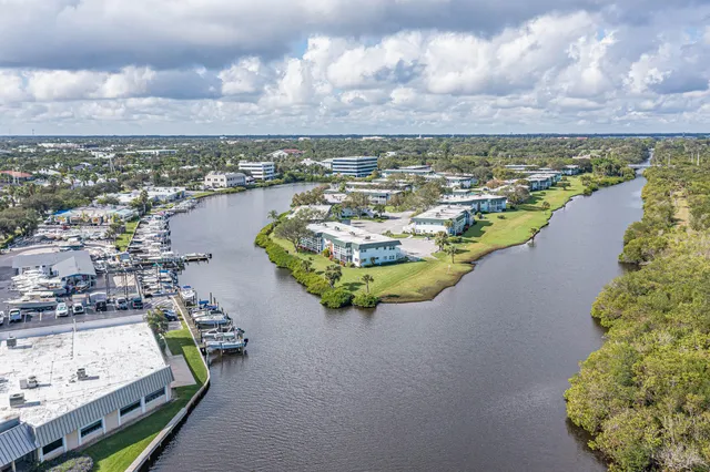 a view of a backyard with of plants