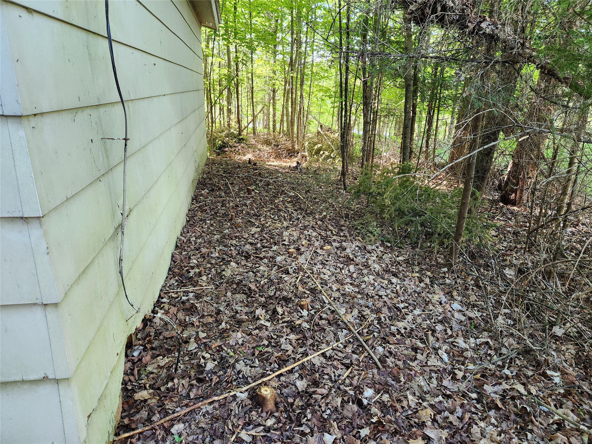 7069 N Fenders Road Winter, WI 54896 - Photo 10 of 50