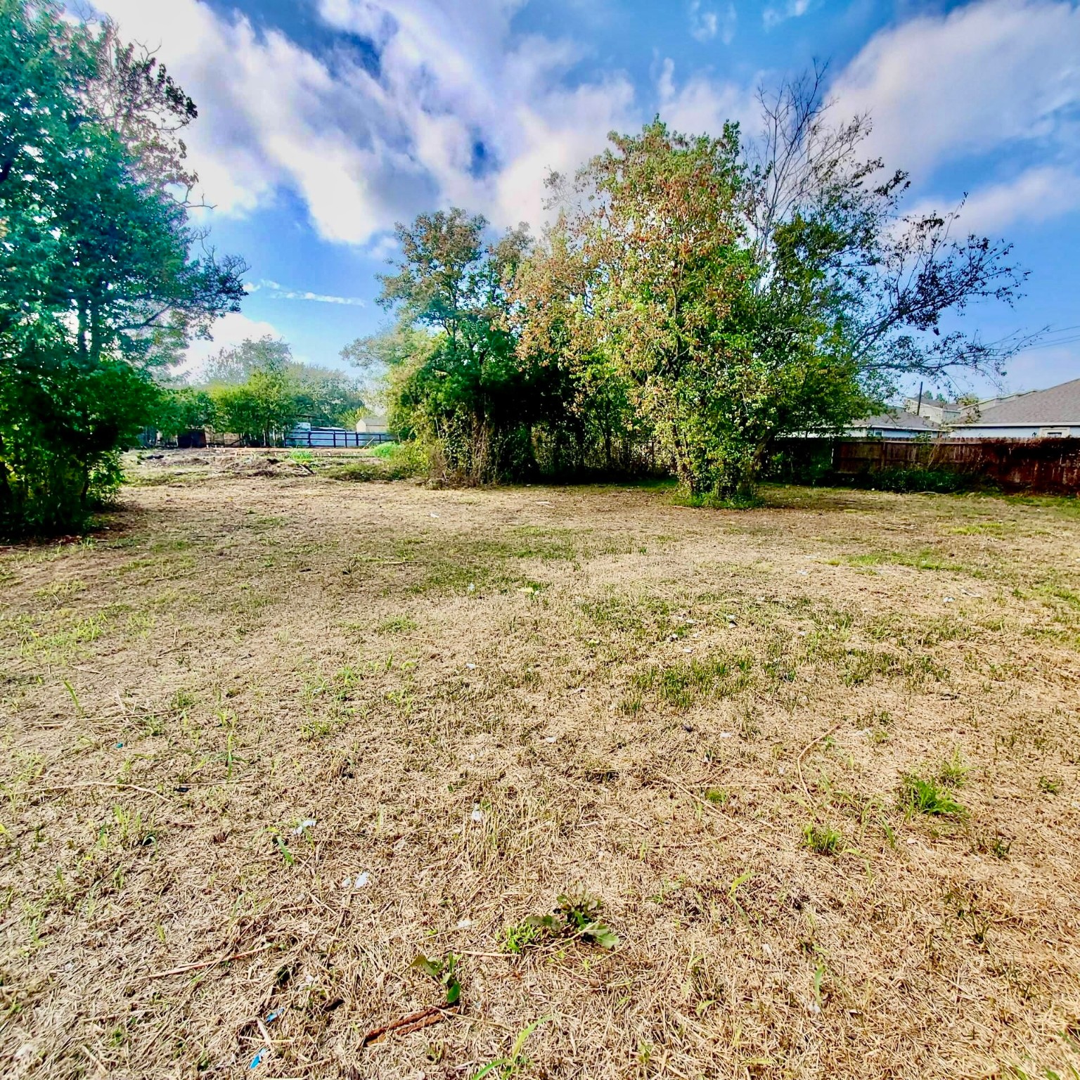 0 Bolden Street Houston, TX 77029 - Photo 1 of 8 a view of a yard with a tree