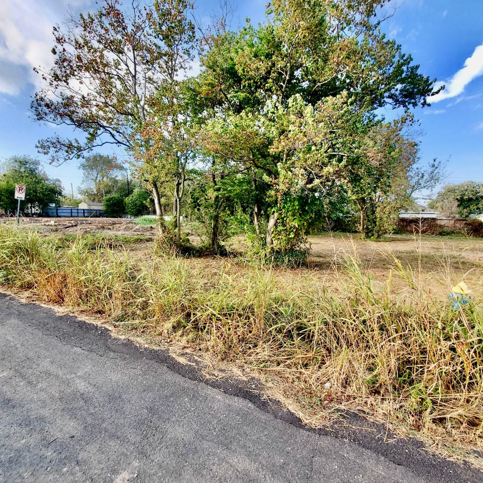 0 Bolden Street Houston, TX 77029 - Photo 2 of 8 a view of yard with green space