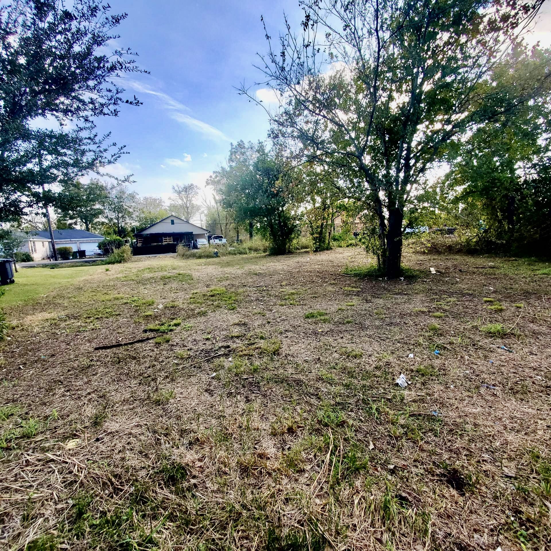 0 Bolden Street Houston, TX 77029 - Photo 3 of 8 a view of a yard with a tree
