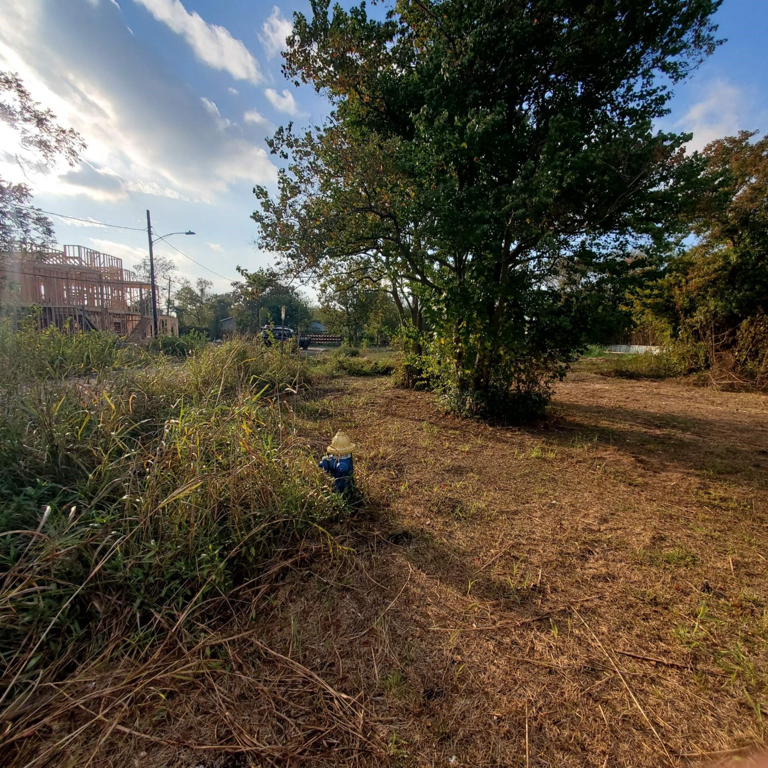 0 Bolden Street Houston, TX 77029 - Photo 4 of 8 a view of yard with green space