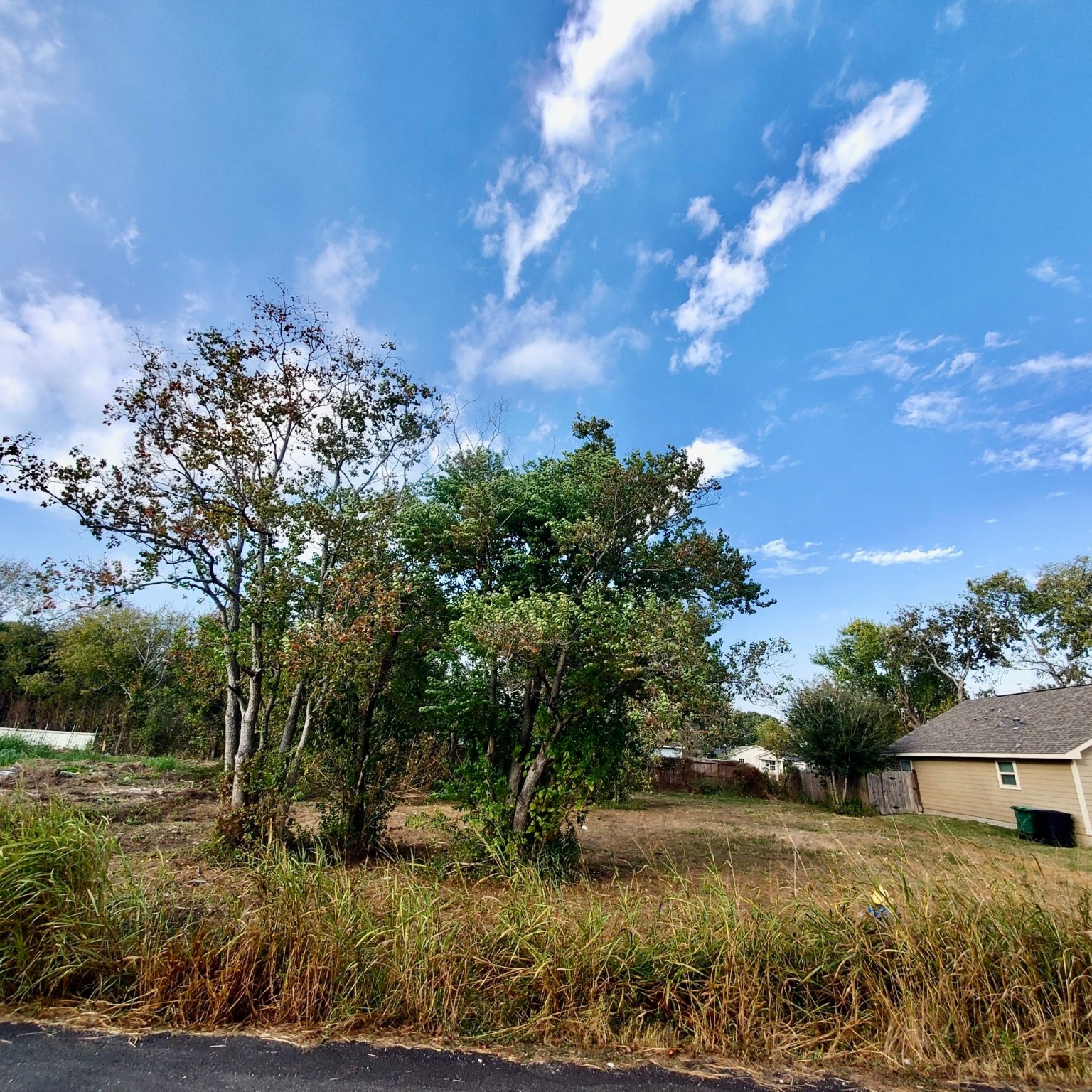 0 Bolden Street Houston, TX 77029 - Photo 6 of 8 a view of a garden with trees