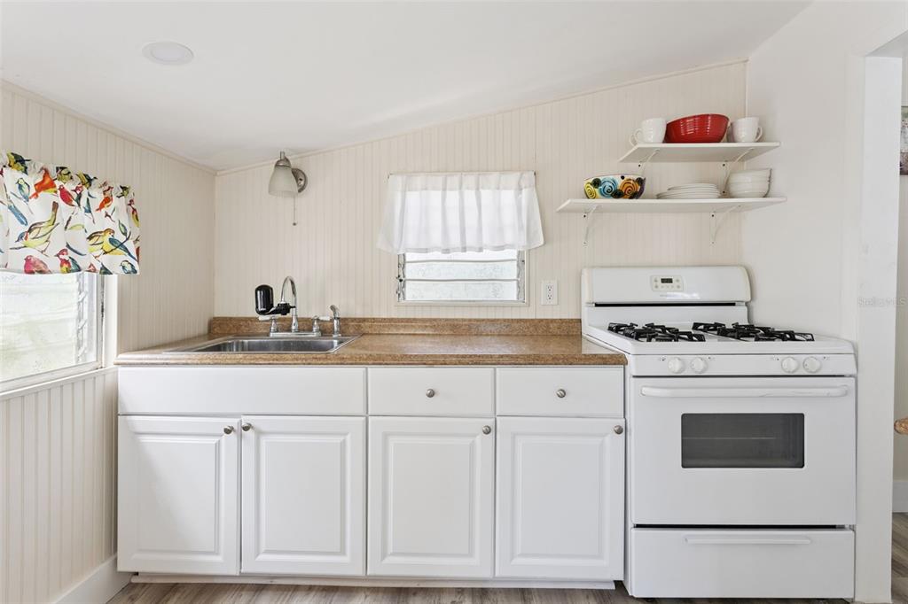 1021 East 3rd Avenue Mount Dora, FL 32757 - Photo 29 of 44