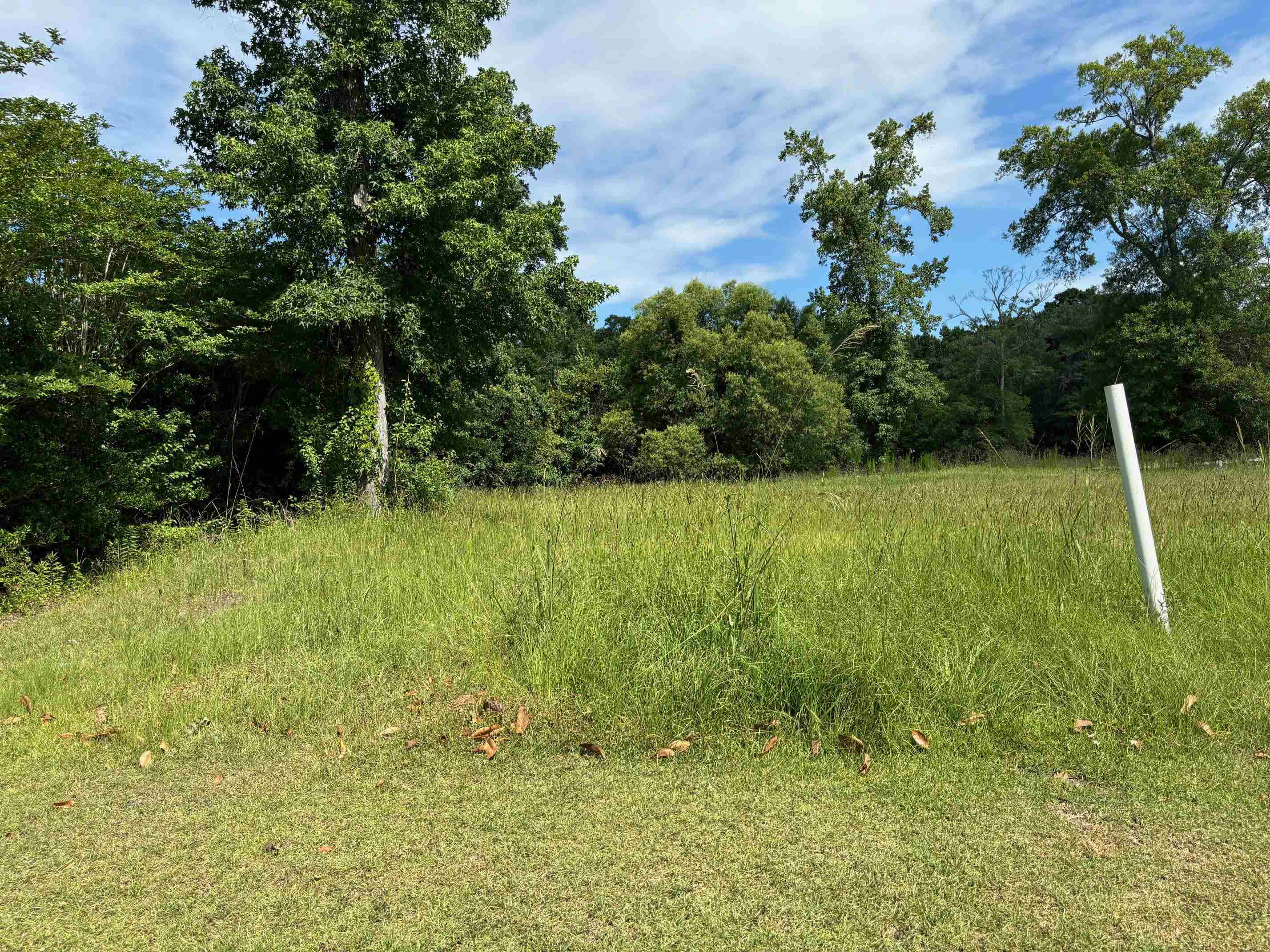 107 Triple Crown Court Myrtle Beach, SC 29579 - Photo 9 of 16