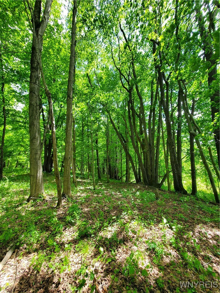 7200 Kent Road Little Valley, NY 14755 - Photo 27 of 43