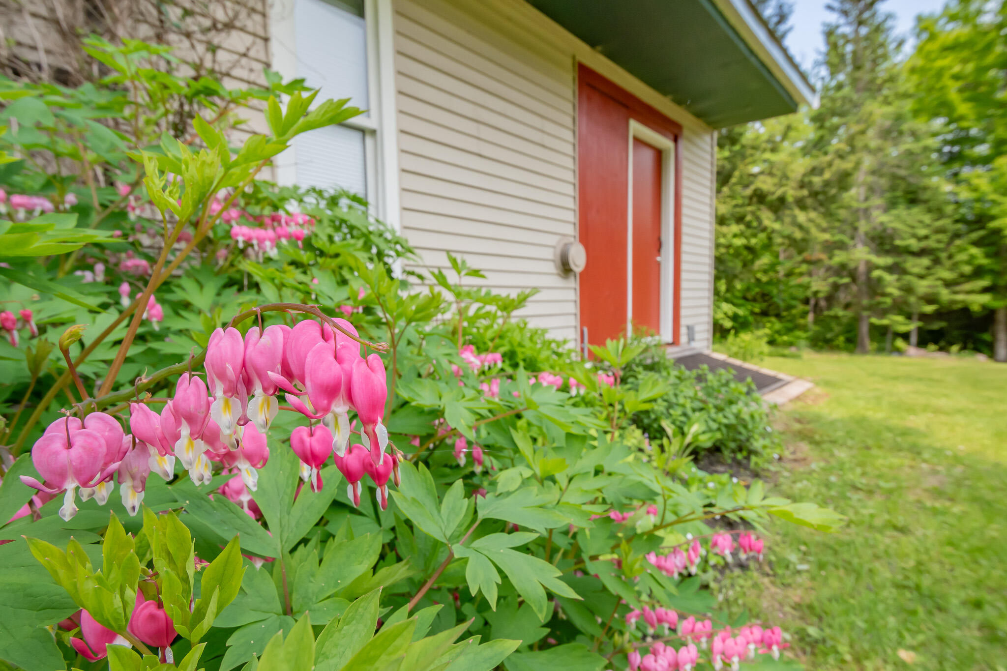 52 Judkins Road Harmony, ME 04942 - Photo 54 of 88 DSC_0754